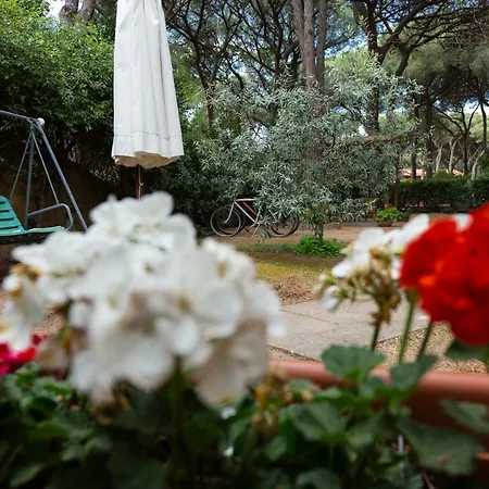 Neverland *
