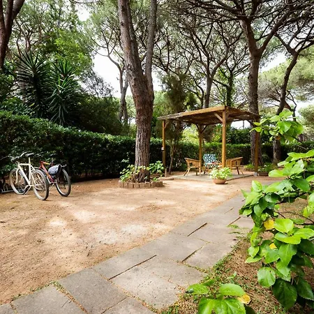 Neverland Holiday home Fort Village