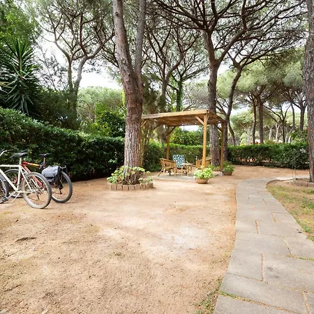 Neverland Holiday home *