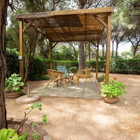 Neverland Holiday home
